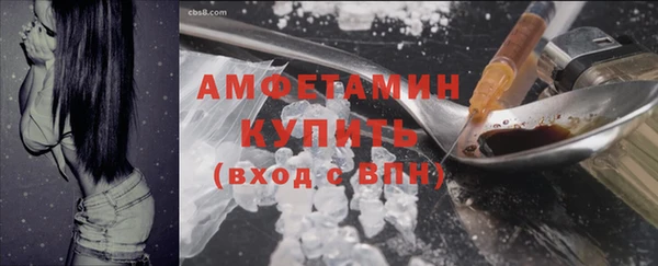 дмт Богданович