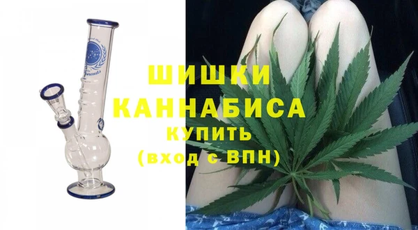 дмт Богданович