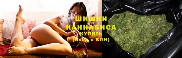 дмт Богданович