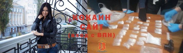 прущие грибы Богородск