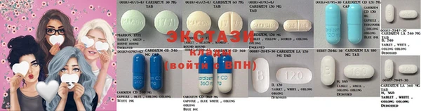 дмт Богданович