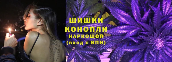 прущие грибы Богородск